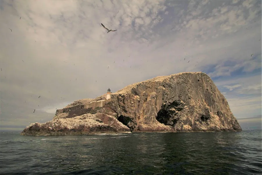 The Bass Rock - North Berwick - Evelyn Szarek
