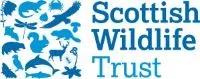 SWT Logo